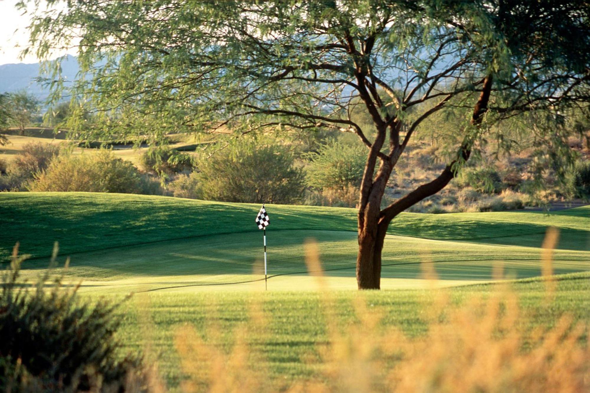 Sheraton Grand At Wild Horse Pass Chandler Luaran gambar